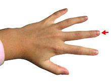 Hand54Middle finger.jpg